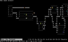 NetHack box art