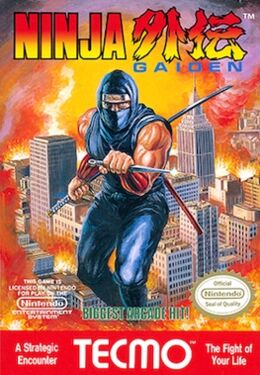 Ninja Gaiden box art