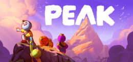 Peak box art