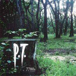 P.T. box art