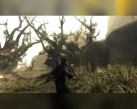Risen